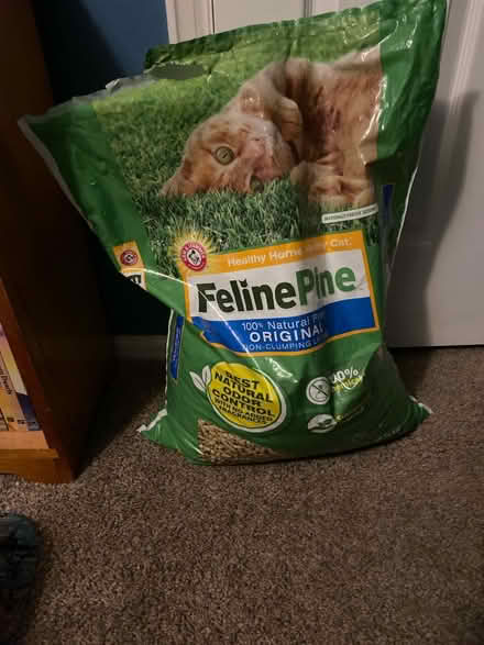 Photo of free Feline pine (Montebello) #1