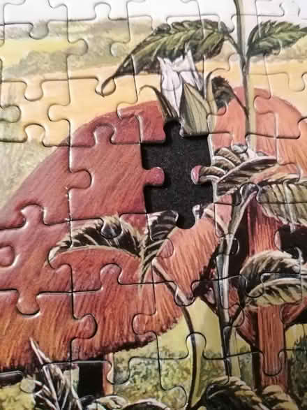 Photo of free 1000 piece jigsaw puzzle (Presteigne LD8) #3