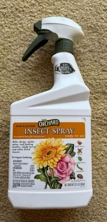 Photo of free Rose & Flower Insect Spray (Cupertino - DeAnza and 280) #1