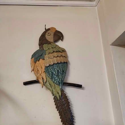Photo of free Parrot wall hanging (Garstang PR3) #1