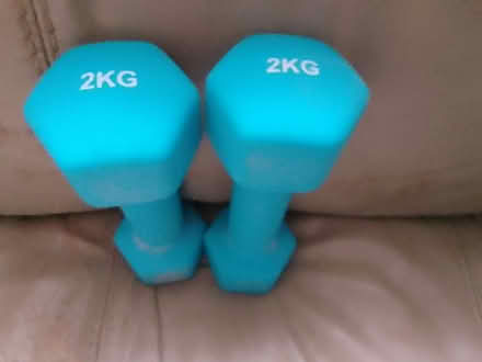 Photo of free Dumbbells (Hounslow TW4 6Ba) #1