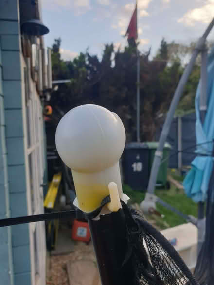 Photo of free Small Trampoline - Not In Perfect Condition (DA1) #1