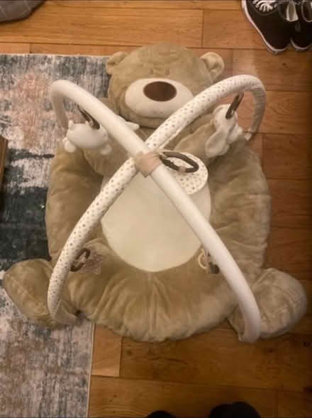 Photo of free Teddy Bear Play Gym (Cheshunt En8) #1