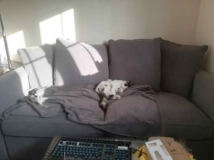 Photo of free IKEA Gronlid 2-seat Sofa Bed (Holbury SO45) #1