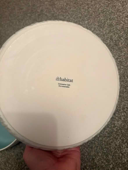Photo of free Two pasta bowls/ bowl plates (Faringdon SN7) #3
