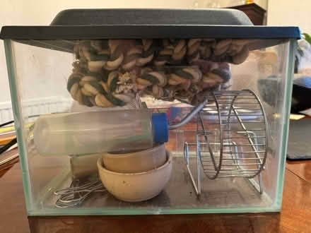 Photo of free Items for rodent-type pet (Winchester SO23) #2
