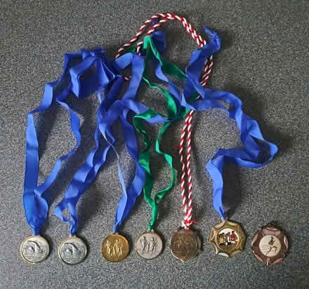Photo of free Metal Medals for Swimming & Running (Midsomer Norton (BA3)) #1