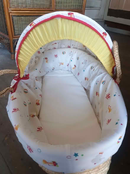 Photo of free Moses Basket with Hood (Breadsall DE21) #1