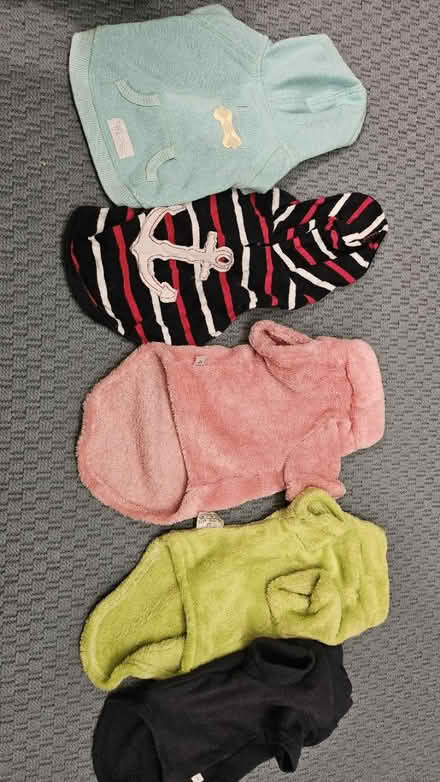 Photo of free Small dog clothes (Corstophine EH4) #1