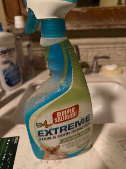 Photo of free Dog urine stain remover (07039) #1