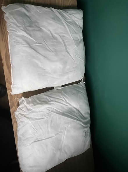 Photo of free cushion inserts (Botley OX2) #1