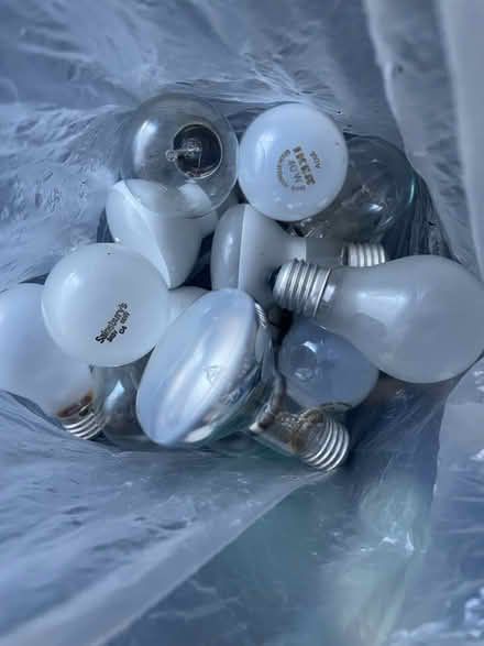 Photo of free Light bulbs (W4) #1