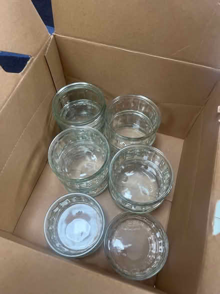 Photo of free Ramkins (TW2) #1