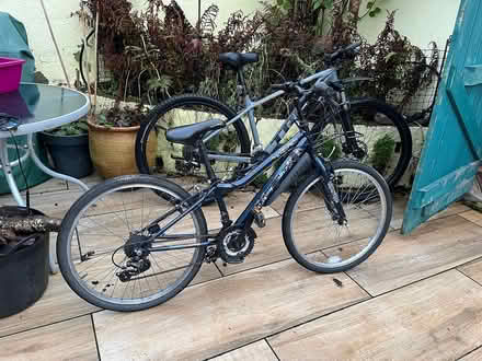 Photo of free Girls bike (Leixlip) #1