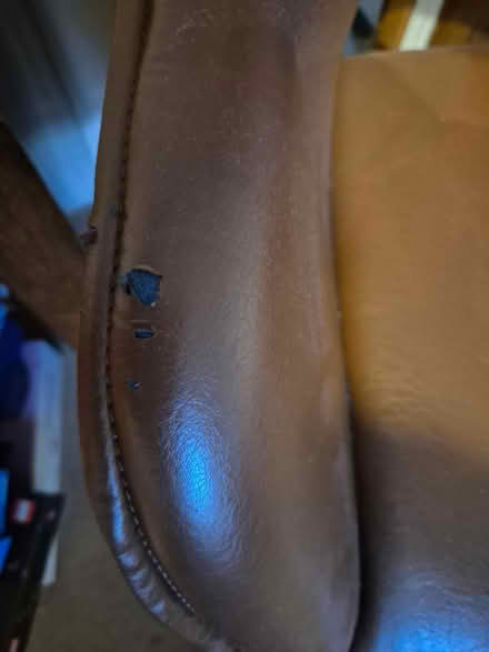 Photo of free Swivel chairs (Annscroft) #2