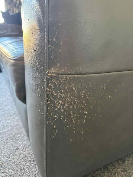 Photo of free grey leather 3 seater sofa (Chigwell IG7) #4