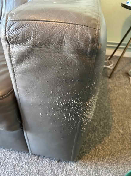 Photo of free Grey leather 3 seater sofa (Chigwell IG7) #4