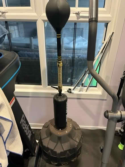 Photo of free Free standing swing boxing ball (Sompting BN15) #1