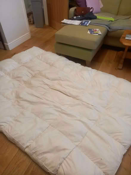 Photo of free Mattress topper (Barnard's Green WR14) #1