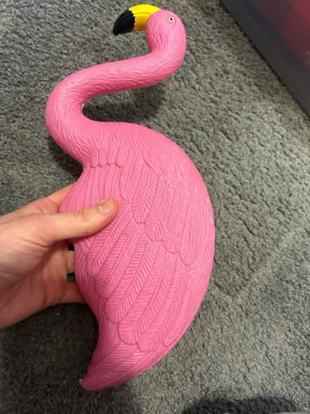 Photo of free Plastic flamingo (North Hollywood) #1
