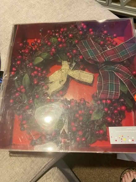 Photo of free Christmas Reef (Basildon Essex) #1