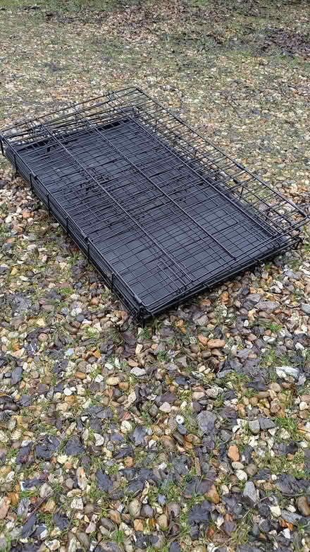 Photo of free Folding Dog Crate (Watlington) #2