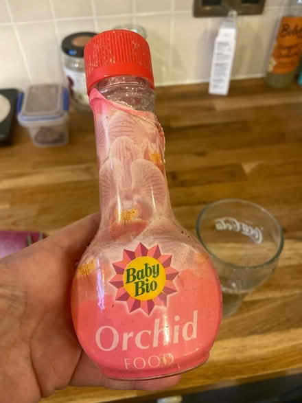 Photo of free Baby Bio orchid feed (S8 Beauchief) #1