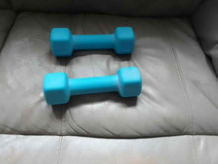 Photo of free Dumbbells (Hounslow TW4 6Ba) #2