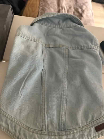 Photo of free Puppy Clothes (Southwest DC-Navy Yard) #4