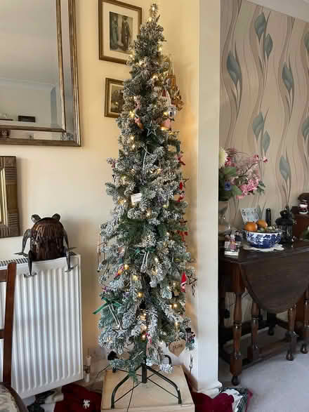 Photo of free 6ft Slim imitation Christmas tree (Woodley RG5) #1