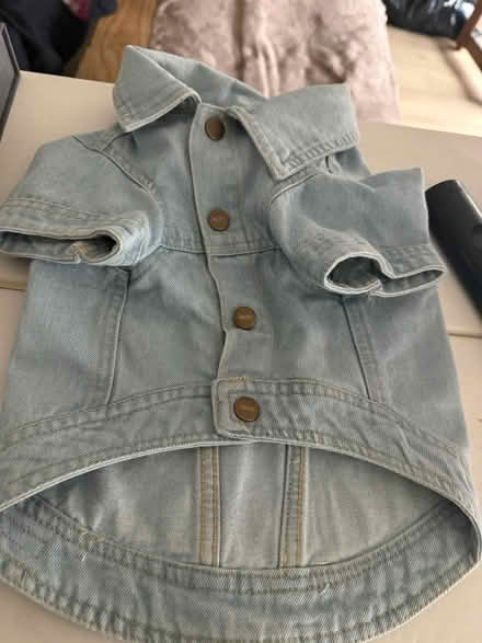 Photo of free Puppy Clothes (Southwest DC-Navy Yard) #3