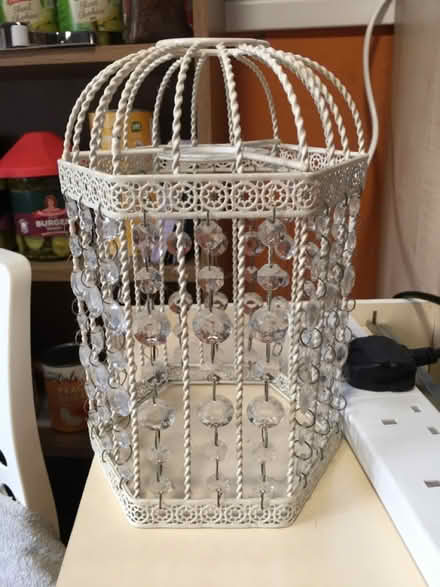 Photo of free 2x Decorative Ceiling Light Shades (Liverpool L6) #1