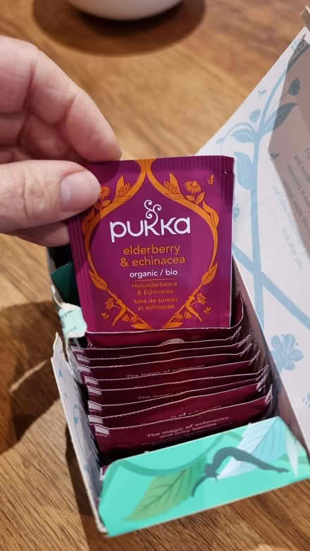 Photo of free Pukka teas - mint & elderberry/echinacea (Wilmslow SK9) #2