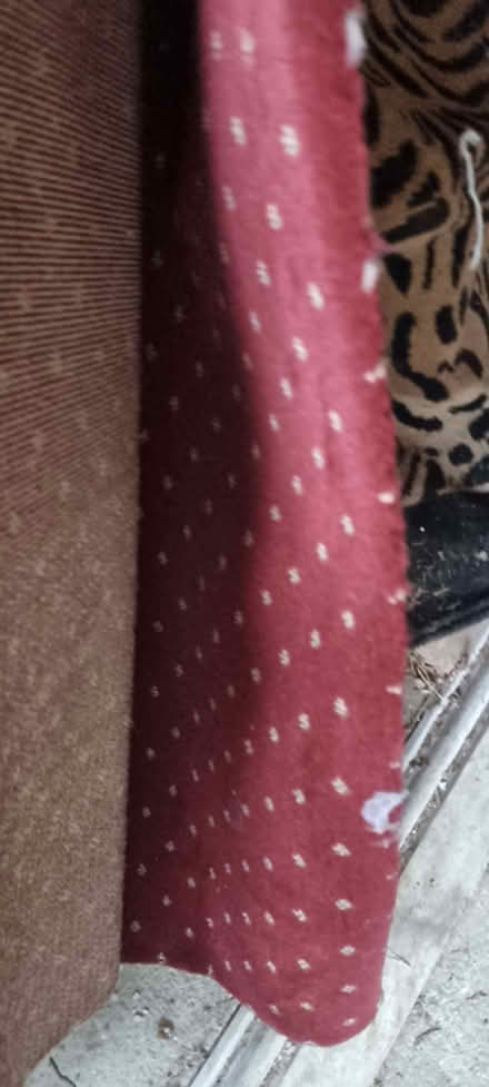 Photo of free Red Carpet Off Cut (Ravensbourne BR1) #1