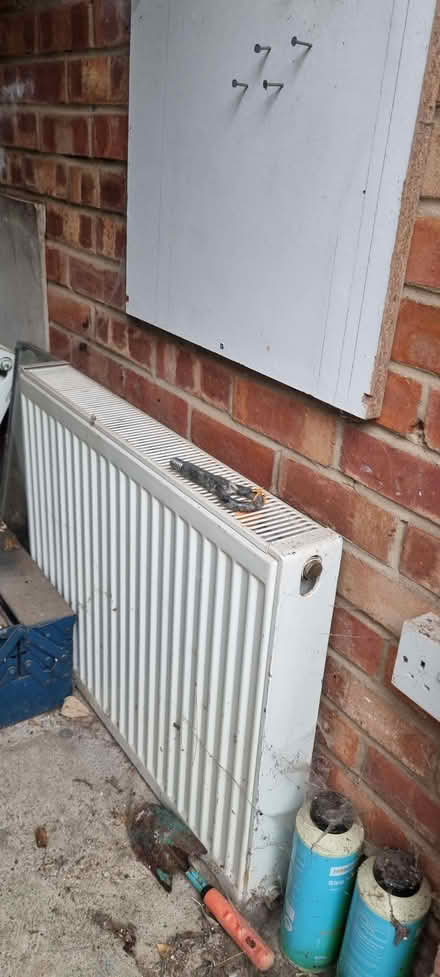 Photo of free 2 x White Radiators Excellent condition (Ravensbourne BR1) #1