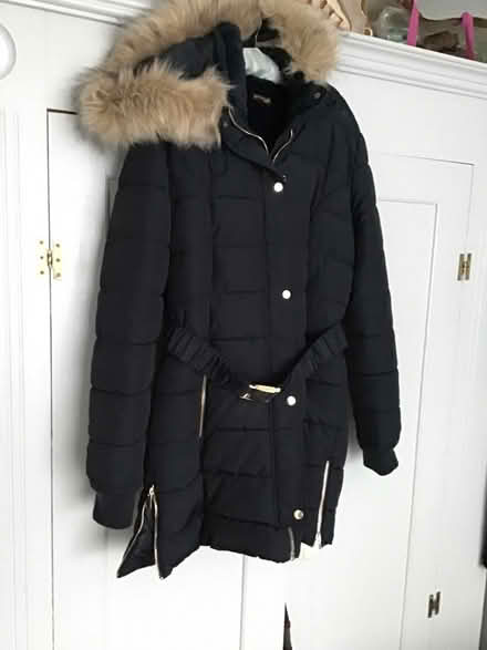 Photo of free Thick coqt (Burford OX18) #2