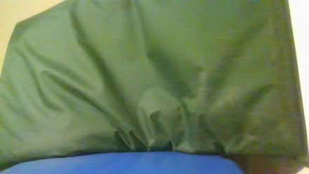 Photo of free dog mattress (Bath BA2) #2