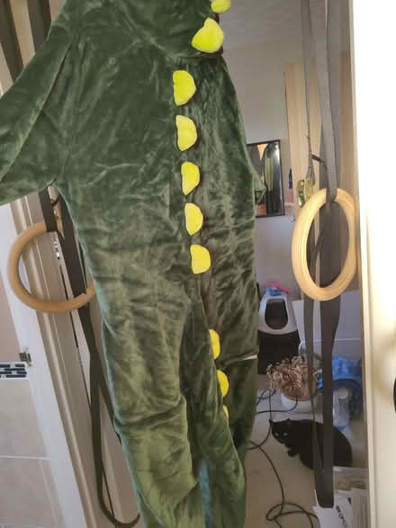 Photo of free Dinosaur onesie (medium) (Leeds LS13) #2