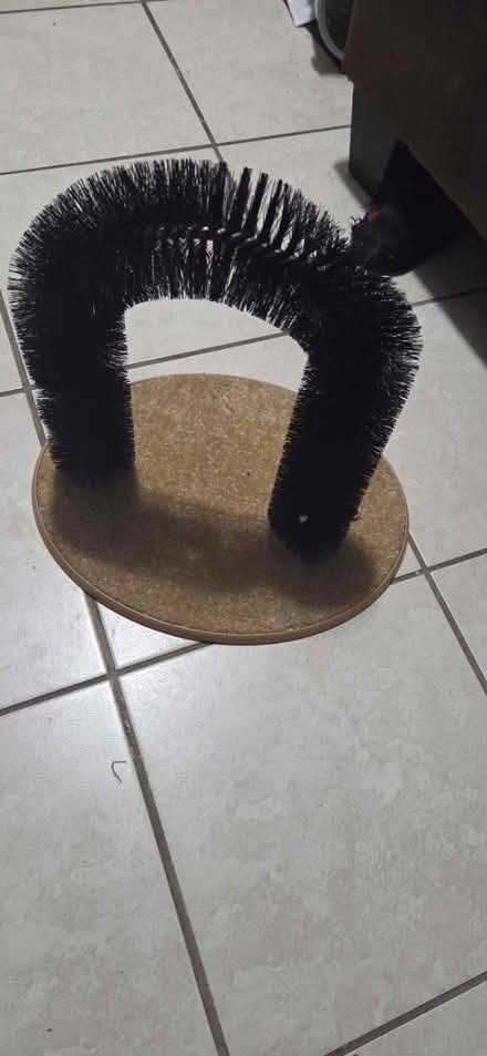 Photo of free Pet items (Upper Darby) #2