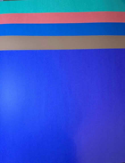 Photo of free Poster board (5 sheets) (W section, Bowie) #1