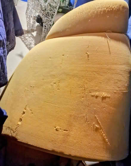 Photo of free Superkings size memory foam 3" Top (BN27) #1