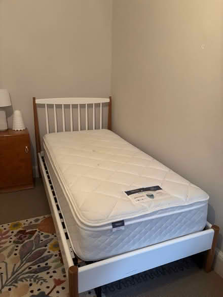 Photo of free Single bed with or without mattress (Hill Brow GU33) #1