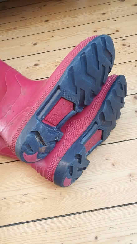Photo of free Wellies size 3 (Paignton TQ3) #2