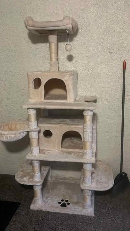 Photo of free Cat Tree (Santa Clara by Levi stadium) #1