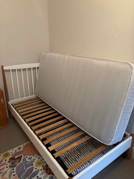 Photo of free Single bed with or without mattress (Hill Brow GU33) #2