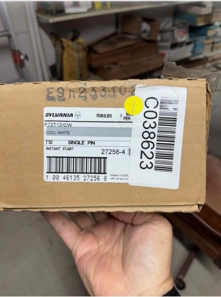 Photo of free Box of 15, 6ft Flor. Bulbs (ITP-Buckhead Margaret Mitchell) #3