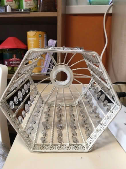 Photo of free 2x Decorative Ceiling Light Shades (Liverpool L6) #2