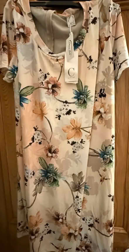Photo of free Chiara Polli Dress XL (Size 16-20) (New Southgate, N11) #2