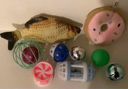 Photo of free Cat Toys (Croydon) #1