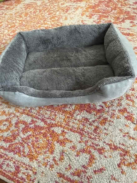 Photo of free Small dog/cat bed (Bedfont TW14) #1